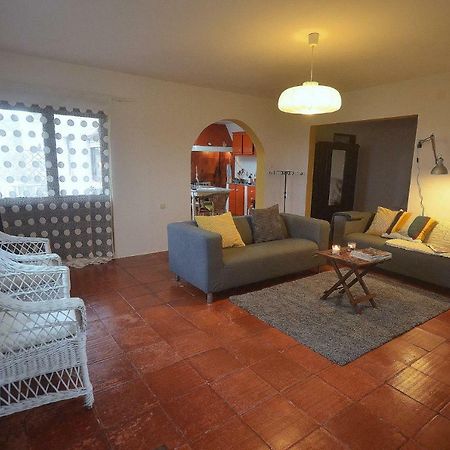 Happy Cat House - Holiday Rental Сан-Мартінню-ду-Порту Екстер'єр фото