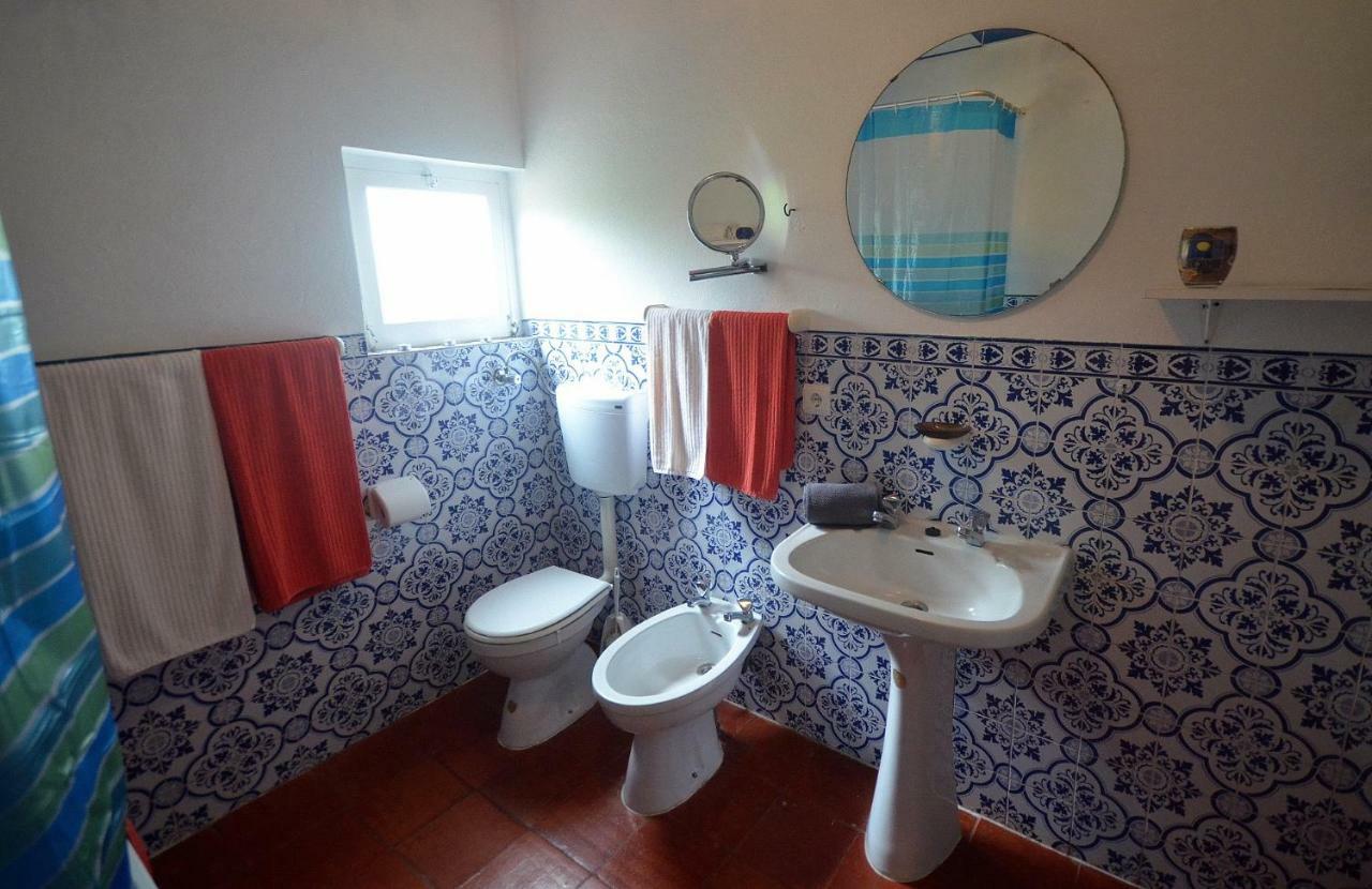 Happy Cat House - Holiday Rental Сан-Мартінню-ду-Порту Екстер'єр фото
