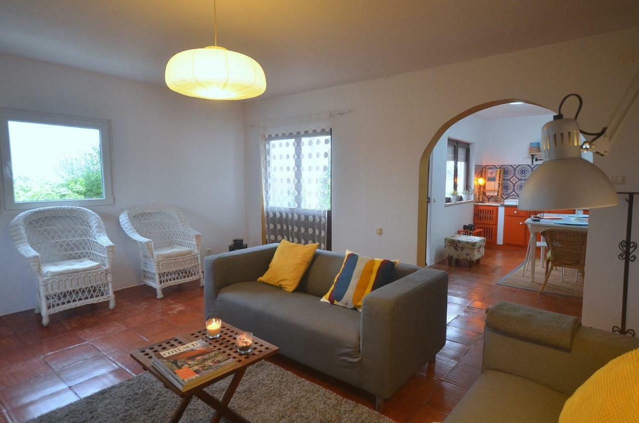 Happy Cat House - Holiday Rental Сан-Мартінню-ду-Порту Екстер'єр фото