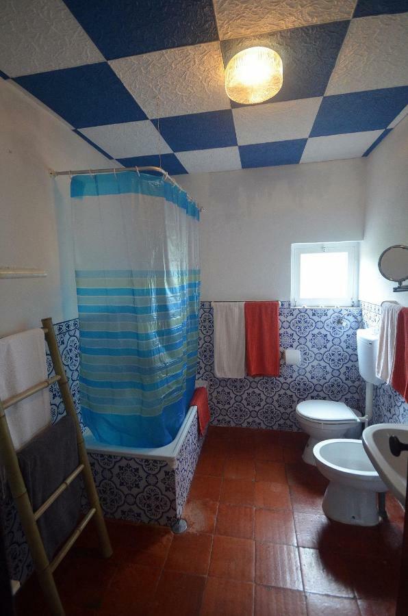 Happy Cat House - Holiday Rental Сан-Мартінню-ду-Порту Екстер'єр фото